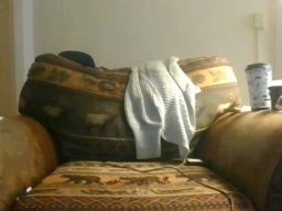 Tikipants  02-12-2020